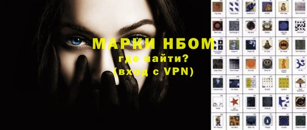 СК Новодвинск