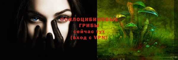 экстази Новозыбков