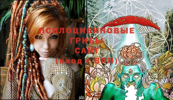 экстази Новозыбков