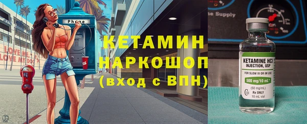 СК Новодвинск